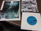 SHARP OBJECTS BRIEFS BODIES MODERN ACTION BOTOX RATS OI