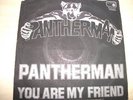 PANTHERMAN YOU ARE MY FRIEND GLAM ROCK RARE PSYCH 7