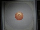 NATURAL ITES - BLACK ROSES / GWAN GO DO IT - REALISTICS