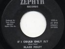 Rare Country Folk 45-Blaze Foley-If I Could Only Fly-M-