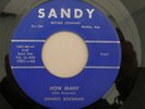Johnny Bozeman SANDY How Many RARE DOO WOP 45 LISTEN