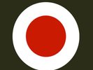 THIEVERY CORPORATION LP 4x12