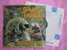 SAVOY BROWN Looking in V Rare Orig Blues Prog LP Decca