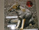 qbico IV aarhus/New vinyl  2lp
