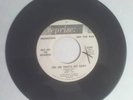 HALE & THE HUSHABYES 45 dj reprise RARE BRIAN WILSON
