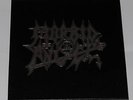 MORBID ANGEL Blessed Are The Sick vinyl box Rare OOP lp