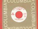 The BYRDS Eight Miles High 1966 DEMO 45 WLP PSYCH Folk