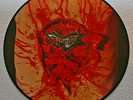 DISMEMBER - Indecent & Obscene - Picture-Disc *rar*