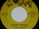 private TX chicano PSYCH latin funk 45/STEVE JORDAN/?