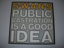 Swans 