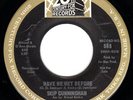 ? SKIP CUNNINGHAM - HAVE WE MET BEFORE ? ?????