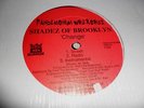 SHADEZ OF BROOKLYN change RARE ORIG 12