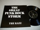 RAZZ Great Punk Rock Storm8