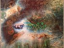 LP Pink Floyd - A Saucerful Of Secrets  UK Orig  Mono