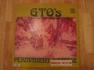 GTO's PERMANENT DAMAGE ZAPPA STRAIGHT WLP STUNNING