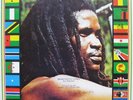 LP / DELROY WILLIAMS / I STAND BLACK