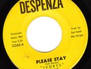 Northern Soul 45 IVORYS Please Stay on Despenza