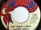 rare Soul Funk Samples 45 FREDDY SCOTT got what i need