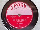 THE ROBINS  RIOT IN CELL BLOCK #9    SPARK 78