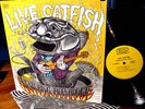 1971 Orig CATFISH - LIVE CATFISH   HARD STOMPING BLUES