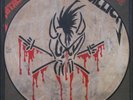 METALLICA one RARE NEW PICTURE DISC 12 in RECORD