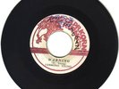 DESMOND YOUNG - WARNING - CAPRICORN RISING