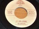 CADILLACS My Girl Friend 1957 JOSIE 45 NM  *HEAR