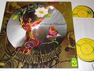 FUTURE SOUND OF LONDON AMORPHOUS ANDROGYNOUS alice 2 LP
