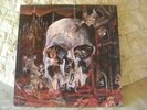 SLAYER LP South of heaven venom celtic frost sodom