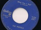 THE PASTELS NW Garage 45 RPM 7