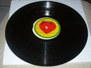 ORTHODOX/TO HAVE A HOME - VISIONAIRES [ROOTS REGGAE] LP