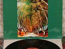 DZYAN Time Machine LP German Import Prog Fusion Quad NM