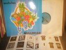Melvins 