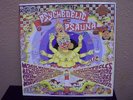 Psychedelic sauna lp Porcupine Tree Various 2 lp insert