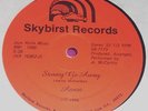 VERY PRIVATE RARE FUNK BOOGIE MODERN SOUL AARON 12