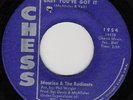 NORTHERN SOUL/MAURICE & RADIANTS/BABY YOU'VE GOT IT