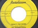 Michigan Rockabilly Surf 45 – THUNDER ROCKS – ROSELAWN