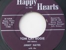 Michigan Rockabilly 45 – JIMMY HAYES – Tom Cat Boogie