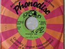 THE HIPPY BOYS NIGERIA B/W PICADILLY HOP GAY FEET 7