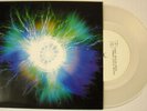 COIL - Winter Solstice 7