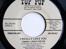 JAMES LEWIS FIELDS  Soul Funk Promo 45  TOP POP RECORDS