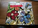 THE BEACH BOYS wild honey RARE ORIG STEREO PSYCH LP 