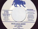 Skip Jackson - Micro Wave Boogie 45 CATAMOUNT Disco