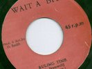  ROOTS REGGAE SAM BRAMWELL RULING TIME ?