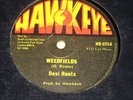 Desi Roots Weedfields/Mind Blowing Decisions 12