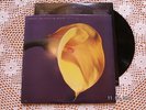 SWANS 1989 The Burning World RARE Out Of Print Goth...