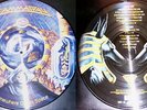 Gamma Ray - Somewhere out in Space  Picture LP