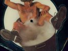 AC/DC YOU SHOOK ME ALL NIGHT LONG SHAPED PICTURE DISC
