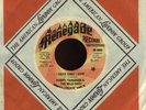 Rare 45 Hoopy Ferguson &The Wild Dogs RENEGADE '71 NRBQ