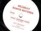 HOT COUNTRY 78 RAY BRADLEY MULE SKINNER BLUES